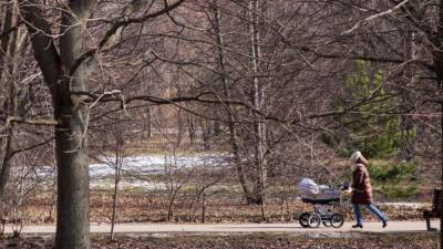 Недовольные соседи облили уксусом детскую коляску жительницы Красноярска