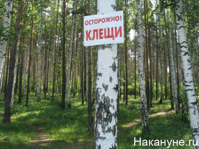 Перед майскими праздниками Свердловскую область начали обрабатывать от клещей