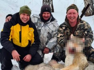 Курганский депутат оскандалился из-за садистского видео с охотой на волков