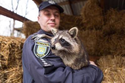 Спасены от насилия: во Львове провели фотосет с животными с непростой судьбой