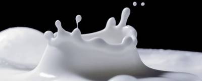 В Нижегородской области выявили некачественную молочную продукцию