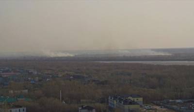 В Тюменской области из-за природных пожаров пострадало 4 тыс. гектаров. Власти винят людей