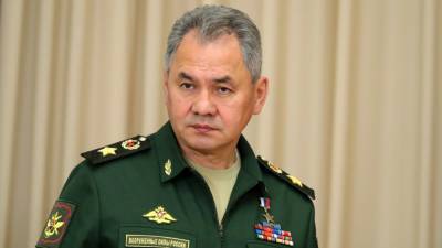 Шойгу: Россия и Таджикистан создадут объединенную систему ПВО