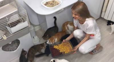 Чебоксарку, живущую с 16 кошками в общежитии, раскритиковали на "Давай поженимся"