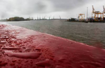 В шести морских портах Украины ограничена перевалка зерна