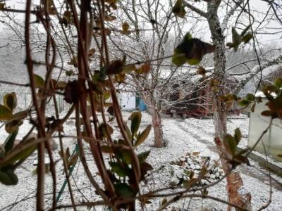 «Ничего себе весна!»: Ленобласть засыпало снегом (видео)