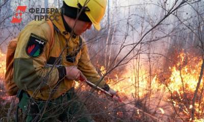 Возле Ханты-Мансийска ликвидирован лесной пожар