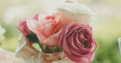 Украина ввела пошлины на иностранные розы: как изменится стоимость цветов