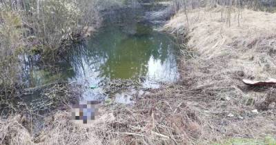 В Ленинградской области нашли части тела женщины