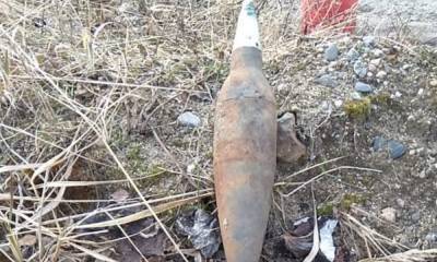 Житель Карелии нашел бомбу на дачном участке