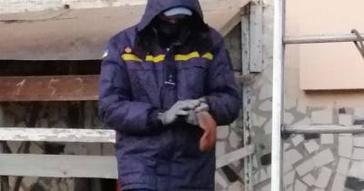 В Кропивницком белочка застряла на балконе многоэтажки: ее освобождали спасатели (2 фото)