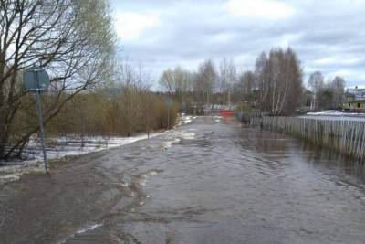 Разлив реки в Угличском районе стал причиной введения режима повышенной готовности