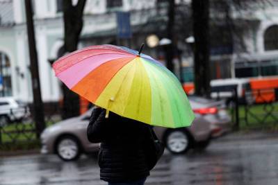 Дождливый день ждет жителей Псковской области 28 апреля