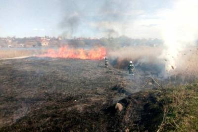 Огонь разгорелся на Харьковщине, 11 очагов разрушительного огня: спасатели обратились к жителям