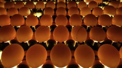 В Роспотребнадзоре дали советы по покупке яиц к Пасхе