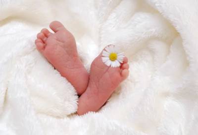С начала года в Ленобласти родилось 1328 малышей