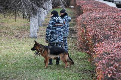 В Челябинске возбудили дело о преступном сообществе, у членов которого нашли 24 кг героина