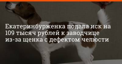 Екатеринбурженка подала иск на 109 тысяч рублей к заводчице из-за щенка с дефектом челюсти