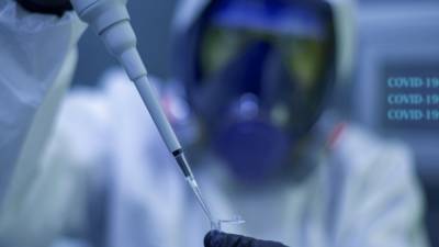 Володин не исключил, что коронавирус появился из-за утечки из лаборатории США