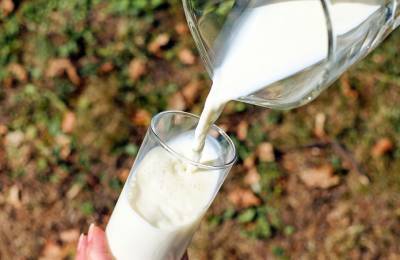 Цены на молоко стабильны четвертый месяц подряд