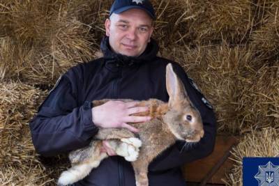 Львовские полицейские устроили фотосессию со спасенными животными