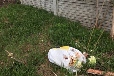 В брянский ботанический сад забросили пакет с мусором