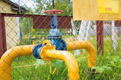 Владельцы элитных коттеджей в Тульской области уклоняются от платы за газ