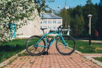 Голландец на велосипеде нелегально проник в Белоруссию «за лучшей жизнью»
