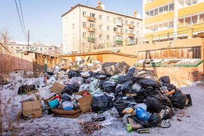 Администрация Читы предложила штрафовать людей за мусор в неположенном месте