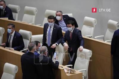 Главная забота нового спикера парламента Грузии — «территориальная целостность»