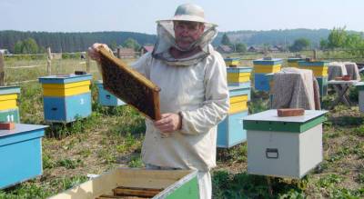 Новые возможности: предприятие «Кроношпан» запустило проект для развития и укрепления пчеловодства в Башкортостане
