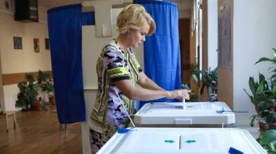 В НОМ объяснили успех самовыдвиженцев на муниципальных выборах 25 апреля