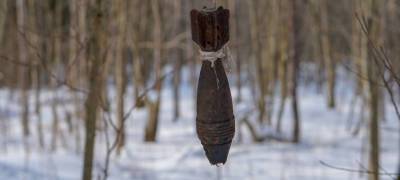 В Карелии саперы уничтожили боеприпасы, обнаруженные в лесу