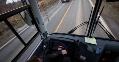 С мая из Калининграда на Куршскую косу запускают прямой автобусный маршрут