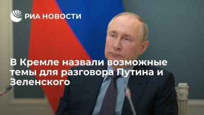 В Кремле назвали возможные темы для разговора Путина и Зеленского