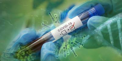 Коронавирус в мире – в рейтинге самых устойчивых к COVID-19 стран первое место занял Сингапур - ТЕЛЕГРАФ