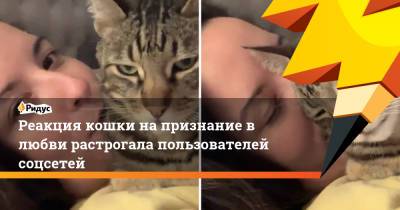 Реакция кошки на признание в любви растрогала пользователей соцсетей