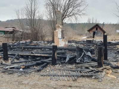 В Прикамье арестована мать погибших в огне детей