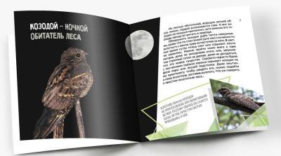 "Белорусская энциклопедия" выпустила книгу для детей о птице 2021 года