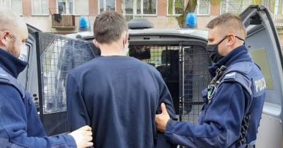 Представился словаком: в Польше украинец пытался похитить с завода 120 посудомоечных машин