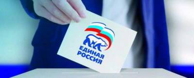 Более 350 заявок подали в Москве на участие в предварительном голосовании «Единой России»