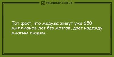Анекдоты на вечер 27 апреля, которые подарят вам улыбку и позитив - ТЕЛЕГРАФ - telegraf.com.ua