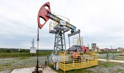 «Башнефть» в три раза нарастила запасы нефти