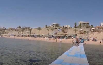 В Египте на пляже отеля отдыхающие заметили акулу