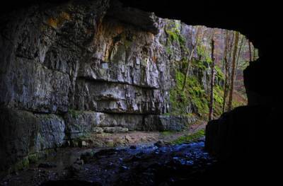В южно-африканской пещере Вондерверк обнаружено древнейшее поселение человека