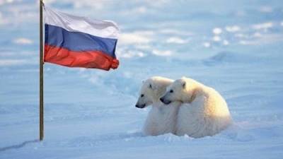 Дмитрий Медведев - Запад боится, что Москва захватит 70% дна Северного Ледовитого океана - argumenti.ru - Москва - Канада - Дания - шт.Аляска - Гренландия
