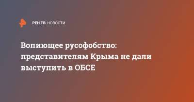 Вопиющее русофобство: представителям Крыма не дали выступить в ОБСЕ