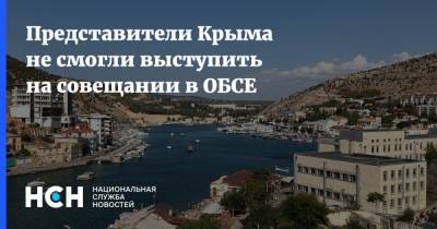 Представители Крыма не смогли выступить на совещании в ОБСЕ