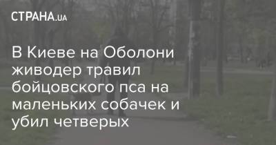 В Киеве на Оболони живодер травил бойцовского пса на маленьких собачек и убил четверых