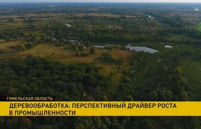 Процесс возрождения чернобыльских земель запускают в Беларуси